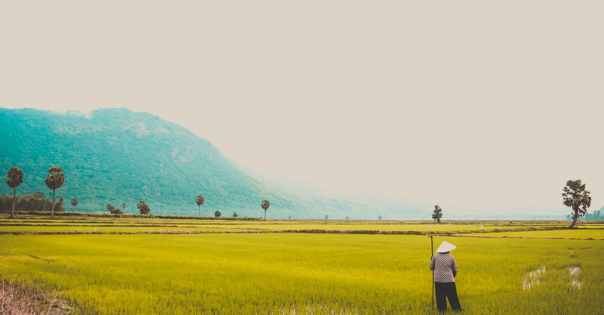 Vietnamese hat lost passing Security at DXB - 2nd March,2016 [closed] - Man Standing on Green Grass Field Under White Sky