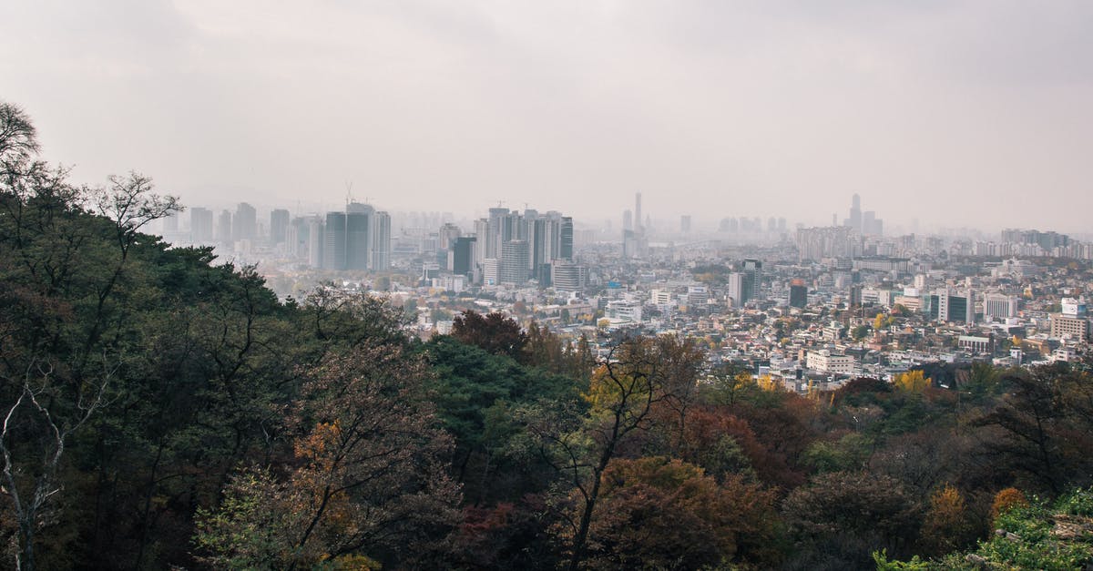 Visa and entry to South Korea as a volunteer? - Panorama City and Trees Visa and entry to South Korea as a volunteer? - Panorama City and Trees