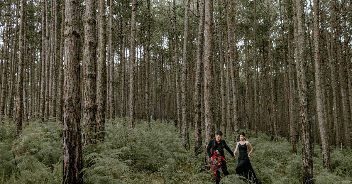 Visa for my Philippine wife to visit (holiday 18 days Spain) - Young couple walking in bushy forest Visa for my Philippine wife to visit (holiday 18 days Spain) - Young couple walking in bushy forest