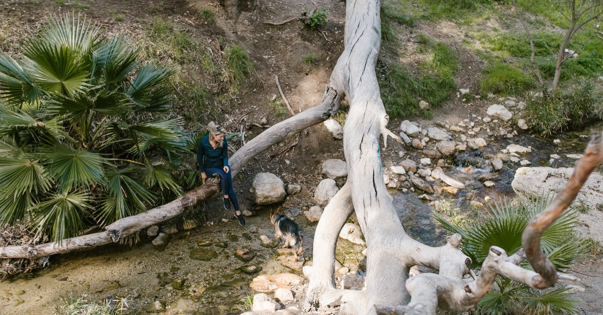 Visa Issues when crossing the English Channel by Jet Ski - Free stock photo of adventure, bon fire, california Visa Issues when crossing the English Channel by Jet Ski - Free stock photo of adventure, bon fire, california