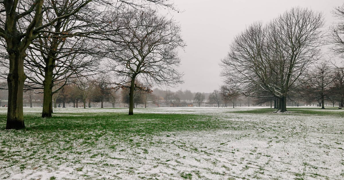 Visa necessary (German citizens) for visits to London after Brexit in 2021? - Leafless Trees on Snow Covered Ground Visa necessary (German citizens) for visits to London after Brexit in 2021? - Leafless Trees on Snow Covered Ground