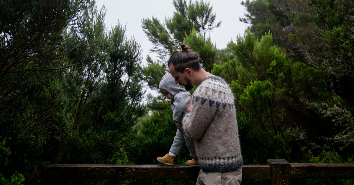 Visa restrictions while travelling with step children - Side view of middle age dad with beard playing with child in green forest Visa restrictions while travelling with step children - Side view of middle age dad with beard playing with child in green forest