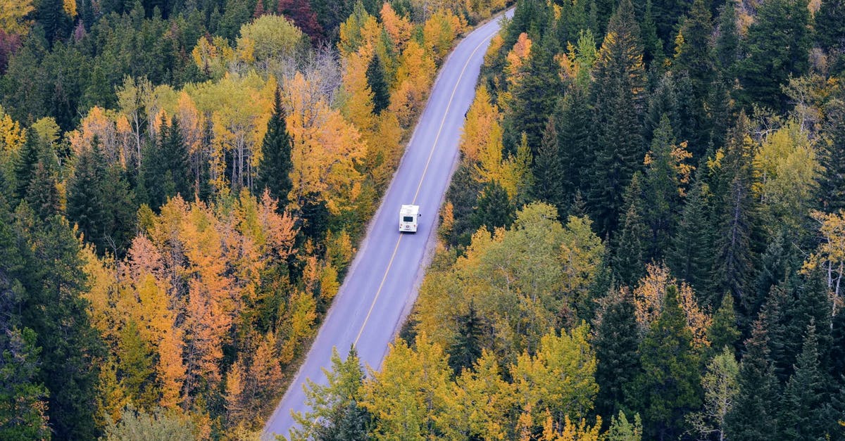 Visa to Oman travelling with a car from UAE - White Car Traveling Near Trees during Daytime Visa to Oman travelling with a car from UAE - White Car Traveling Near Trees during Daytime