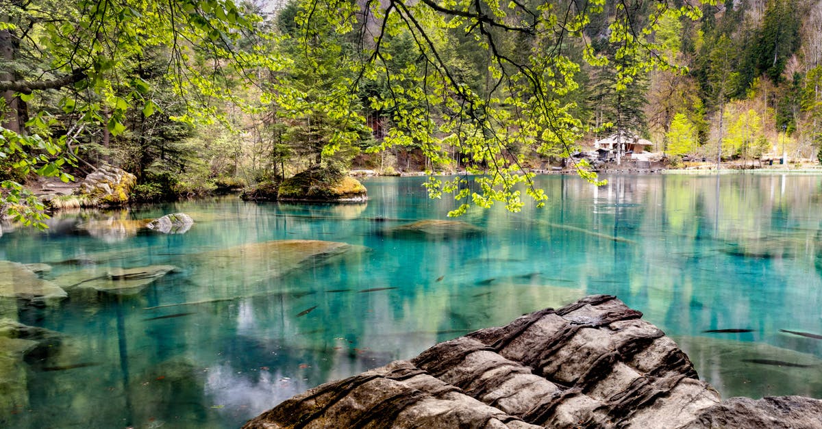 Visiting CERN in Switzerland - Photo of Lake During Daytime Visiting CERN in Switzerland - Photo of Lake During Daytime