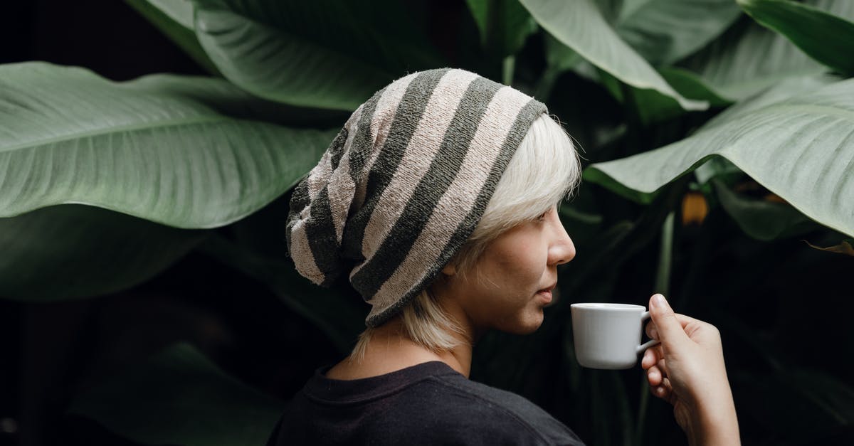 Visiting the Edinburgh Fringe (events information) - Side view of young lady in striped slouchy beanie and black tee with blond fringe drinking cup of aromatic coffee standing near big house plant with large green leaves Visiting the Edinburgh Fringe (events information) - Side view of young lady in striped slouchy beanie and black tee with blond fringe drinking cup of aromatic coffee standing near big house plant with large green leaves