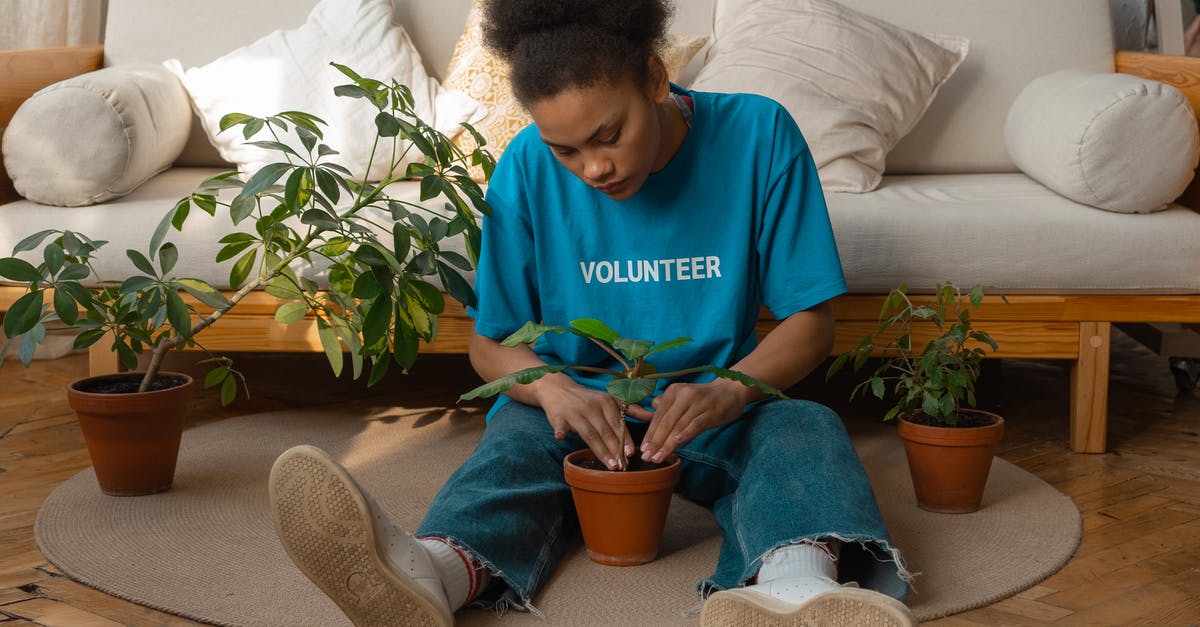 Volunteer opportunities in Boston for practicing English? - Woman in Blue Crew Neck T-shirt and Blue Denim Jeans Sitting on Brown Sofa Volunteer opportunities in Boston for practicing English? - Woman in Blue Crew Neck T-shirt and Blue Denim Jeans Sitting on Brown Sofa