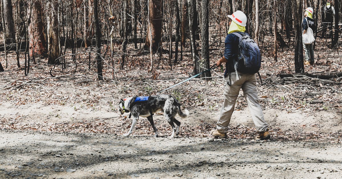 Walking across Australia? - Person Walking With a Rescue Dog Walking across Australia? - Person Walking With a Rescue Dog