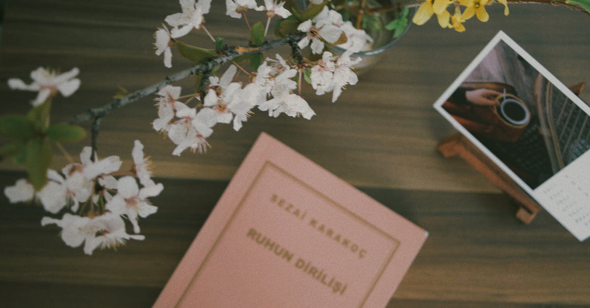 Ways to book multiple flights [closed] - White Flowers on Brown Wooden Table