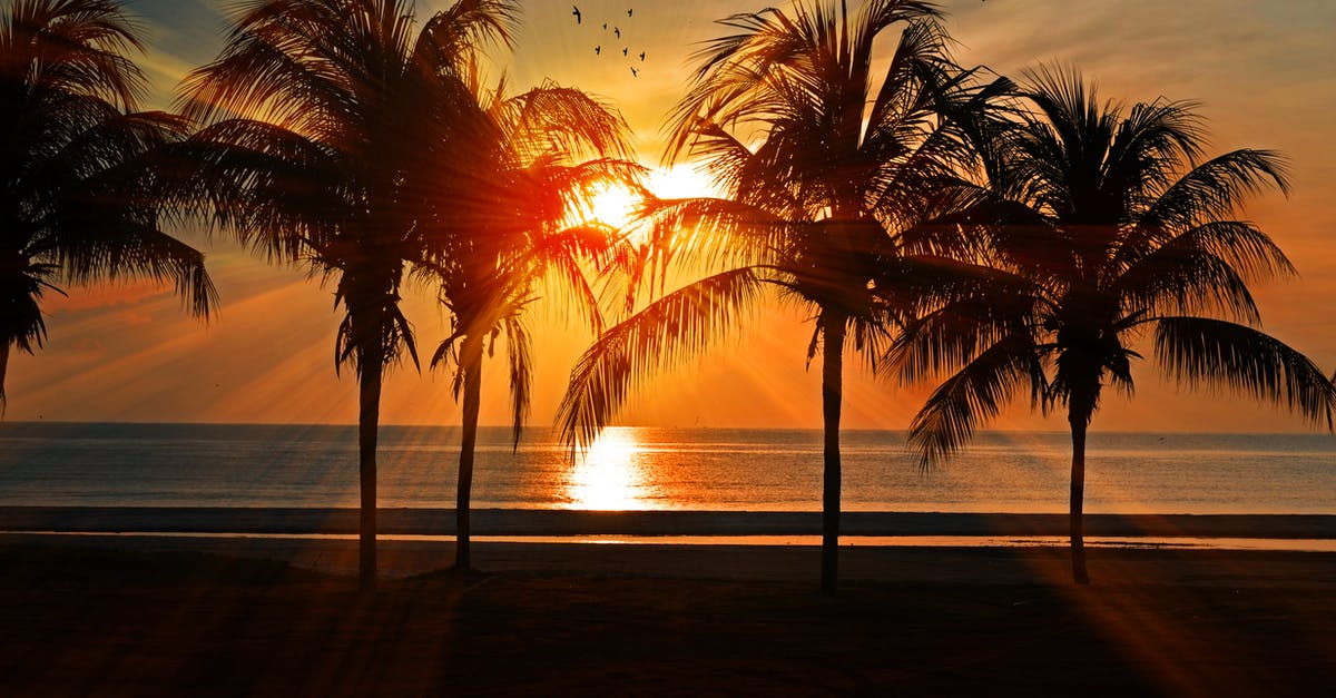 Website for travel suggestions in a given week with a given budget - Silhouette of Trees during Golden Hour Website for travel suggestions in a given week with a given budget - Silhouette of Trees during Golden Hour