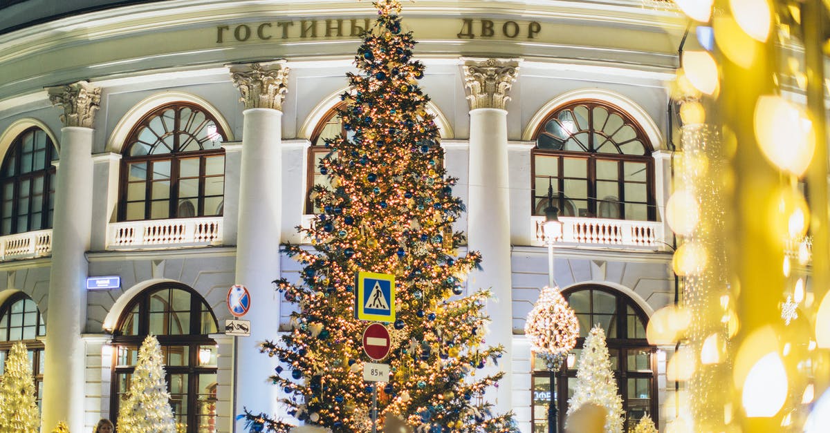 Website to identify low season for hotels - Low angle of decorated Christmas tree with blue and golden toys and glowing lamps on street against exterior of old building in evening city Website to identify low season for hotels - Low angle of decorated Christmas tree with blue and golden toys and glowing lamps on street against exterior of old building in evening city