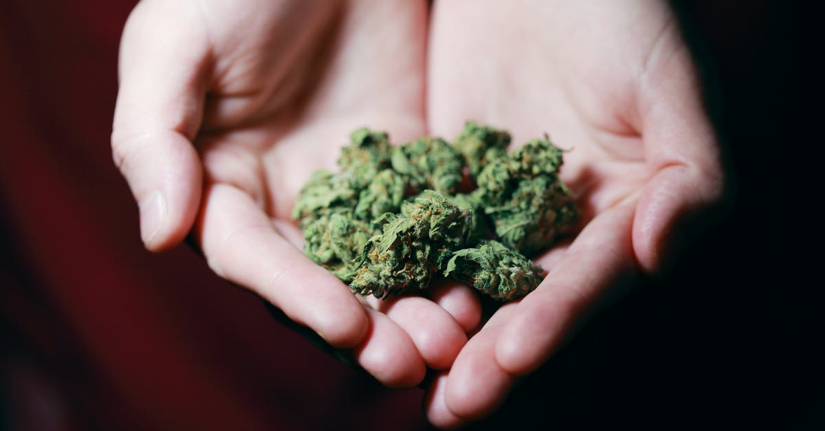 Weed tourism: alternatives to Amsterdam [closed] - Kush in Close-up Photography