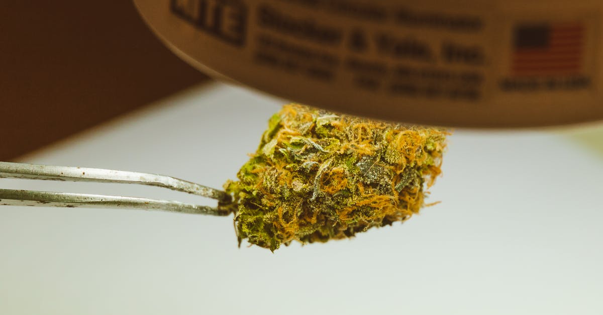 Weed tourism: alternatives to Amsterdam [closed] - A Cannabis Kush under a Spotlight