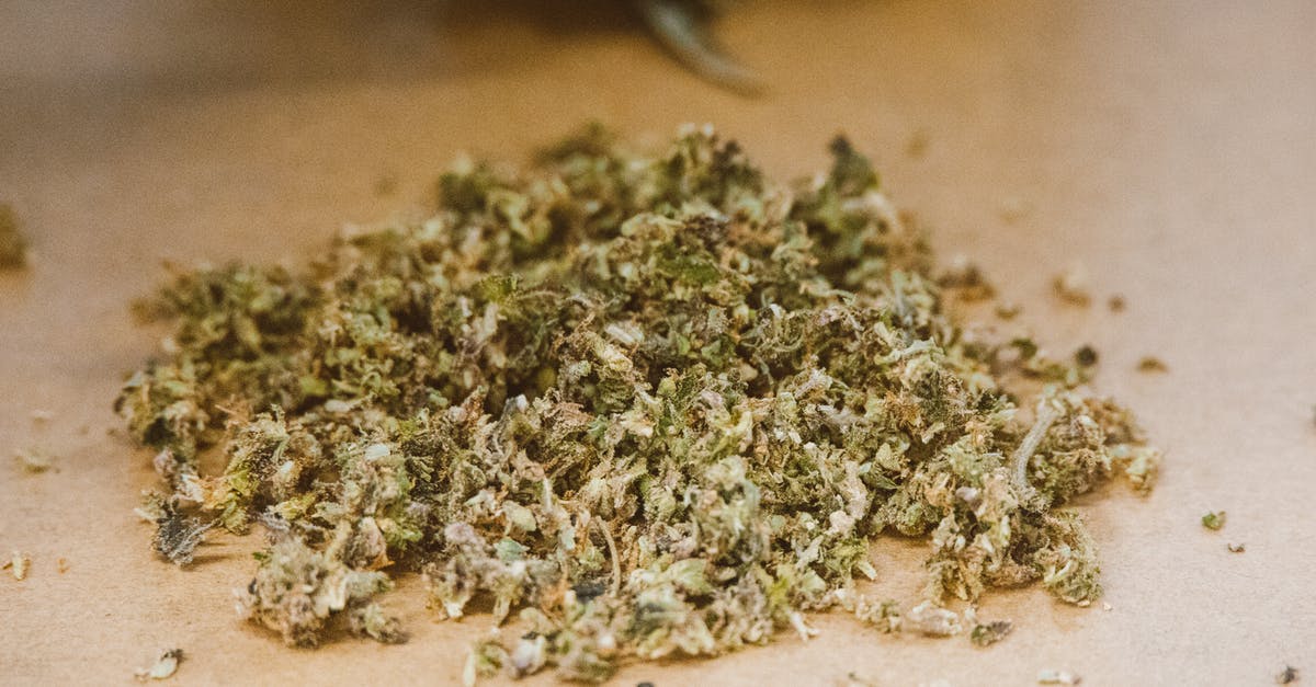 Weed tourism: alternatives to Amsterdam [closed] - Green Kush on Brown Surface