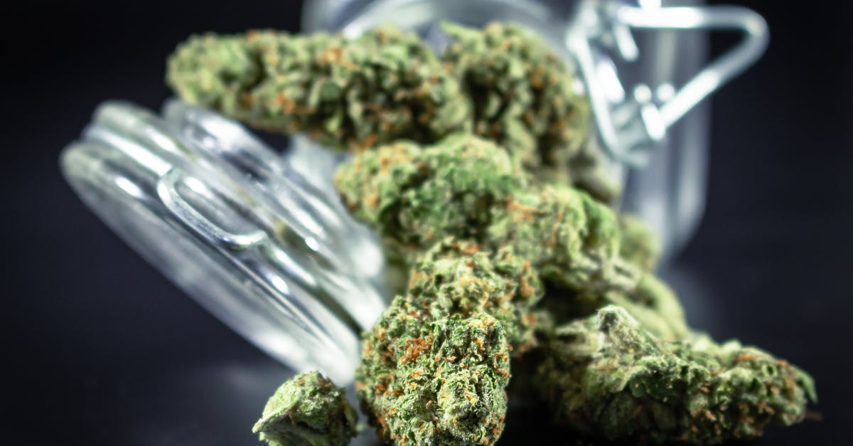 Weed tourism: alternatives to Amsterdam [closed] - Free stock photo of addiction, agriculture, alternative