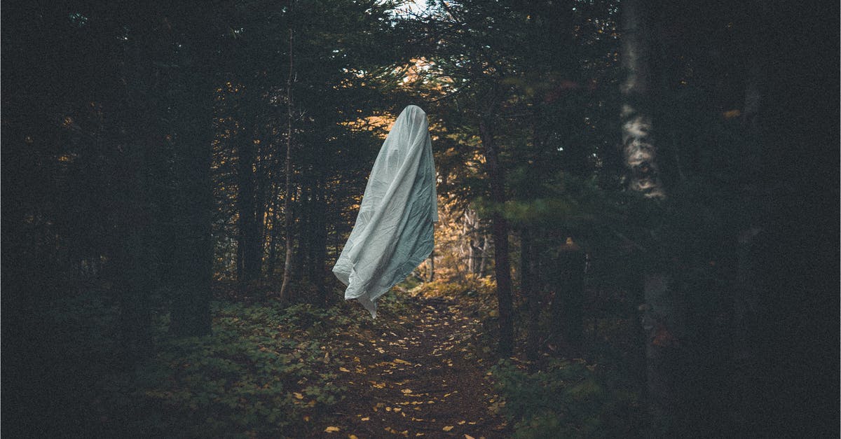 Weird flight path for BA714 - Sep 13, 2018 [closed] - Scary ghost in dark grove with coniferous trees
