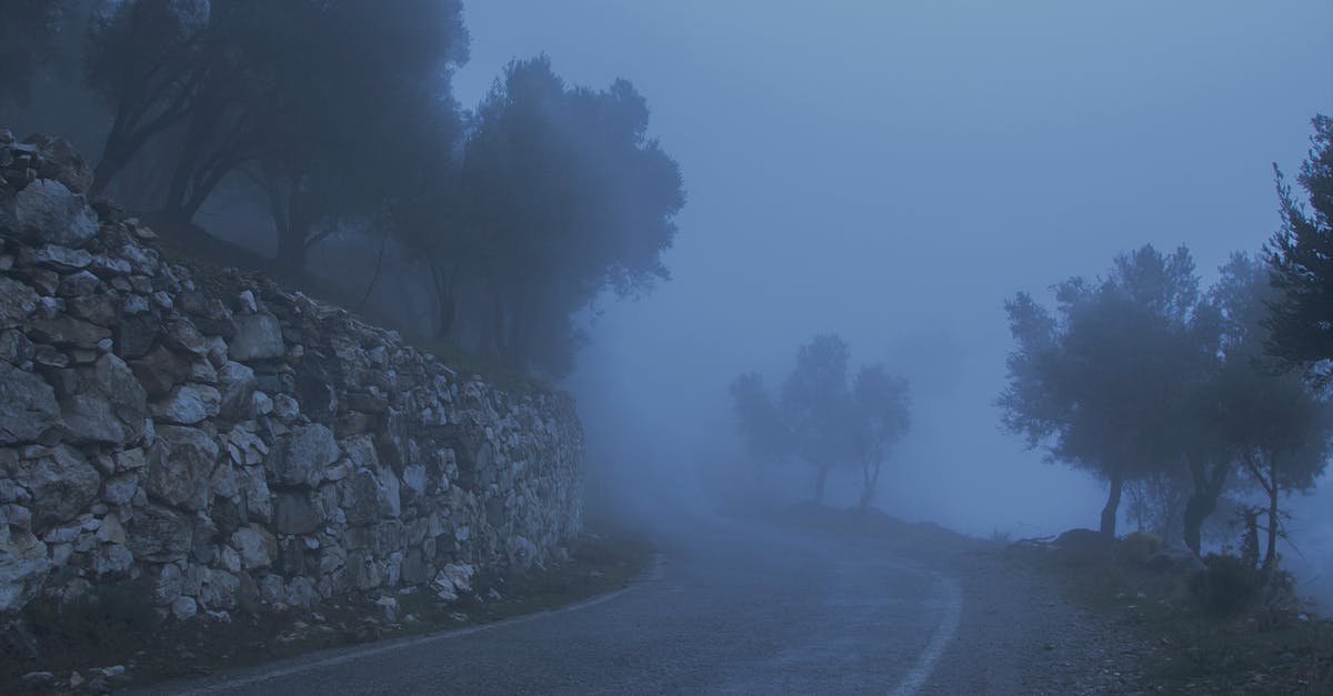 What's the best way to take a cold shower? - Road Between Trees and a Cliff Covered With Fog What's the best way to take a cold shower? - Road Between Trees and a Cliff Covered With Fog