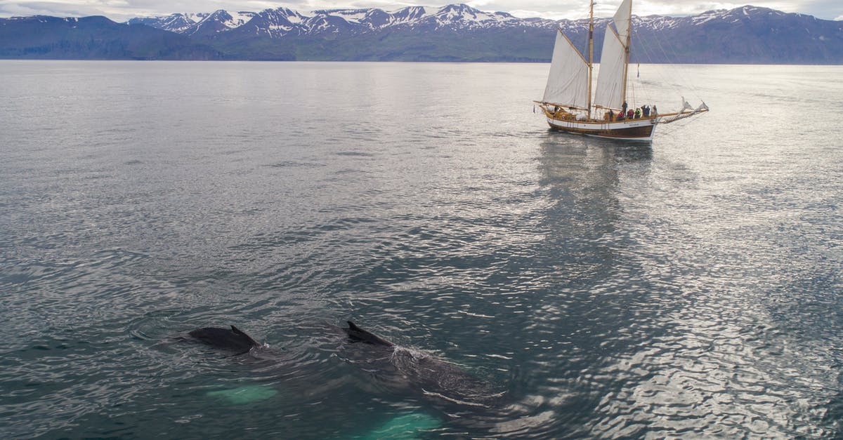 What's the deepest underwater tour available? - Aerial view of beautiful white traditional sailboat with passengers floating on rippling sea during whale watching tour What's the deepest underwater tour available? - Aerial view of beautiful white traditional sailboat with passengers floating on rippling sea during whale watching tour