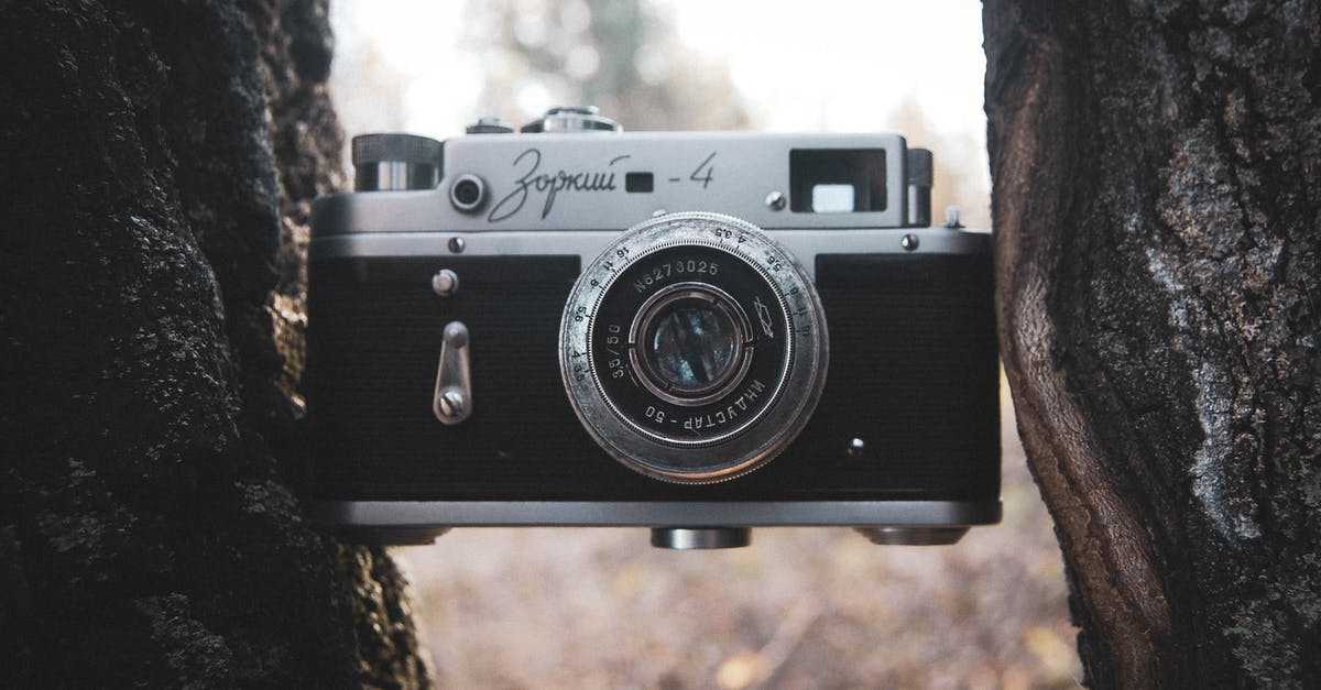 What's the difference between bonus and status miles? - Retro Camera Wedged Between Trees What's the difference between bonus and status miles? - Retro Camera Wedged Between Trees