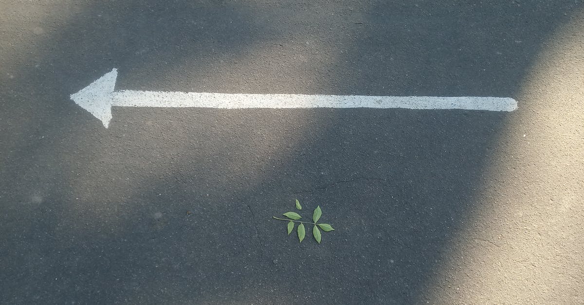 What actually does left the UK voluntarily, at the expense (directly or indirectly) mean? - Leaves near a Directional Sign on a Concrete Road