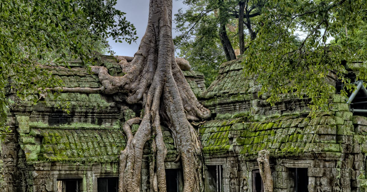 What and where is this old-looking stone building? - Building With Tree What and where is this old-looking stone building? - Building With Tree