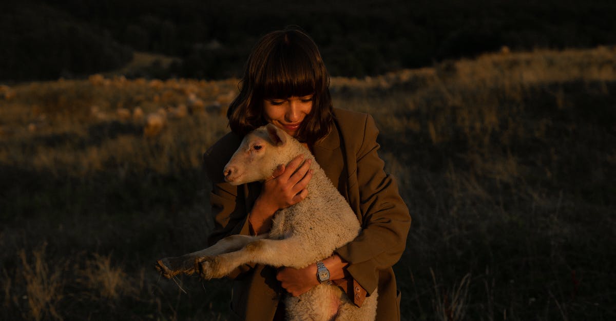 What are some nice places to visit and some exciting things to do in Cyprus? [closed] - Nice Girl in Coat Cuddling White Lamb