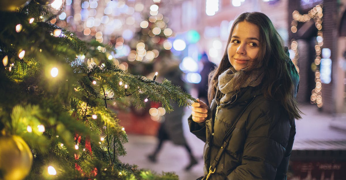 What are some pros & cons of doing multiple single day tours vs multi-day tour in Iceland? - Woman in Bubble Jacket Standing Near Christmas Tree With String Lights What are some pros & cons of doing multiple single day tours vs multi-day tour in Iceland? - Woman in Bubble Jacket Standing Near Christmas Tree With String Lights