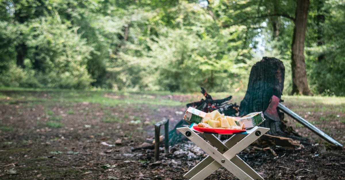 What are the borders of the Ti Tree Fruit Fly Exclusion zone in Australia's Northern Territory? - Portable table with bright tray with delicious ripe pineapple cubes on picnic near black burnt firewood with sharp ax on shabby terrain surrounded by green trees in daylight