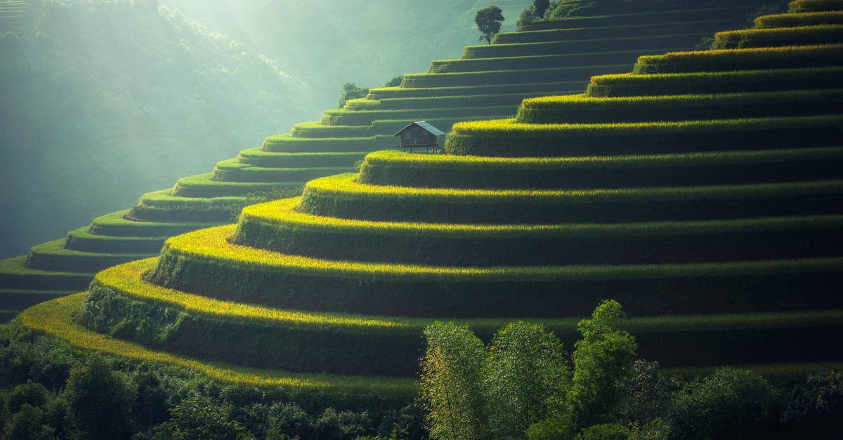 What are the remedies for land sickness? - Scenic View of Rice Paddy What are the remedies for land sickness? - Scenic View of Rice Paddy