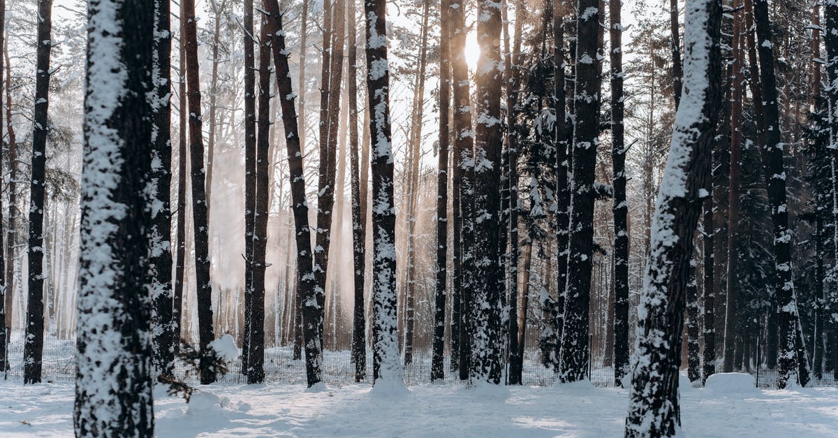 What are the weather conditions in Macedonia in May? - Woods Covered With Snow What are the weather conditions in Macedonia in May? - Woods Covered With Snow