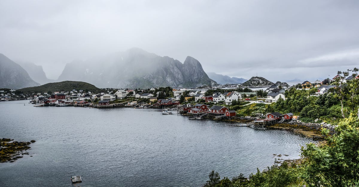 What are these ladders on the sides of houses on Åland for? - Rocky Mountain Near Citizen Houses Near Body of Water What are these ladders on the sides of houses on Åland for? - Rocky Mountain Near Citizen Houses Near Body of Water