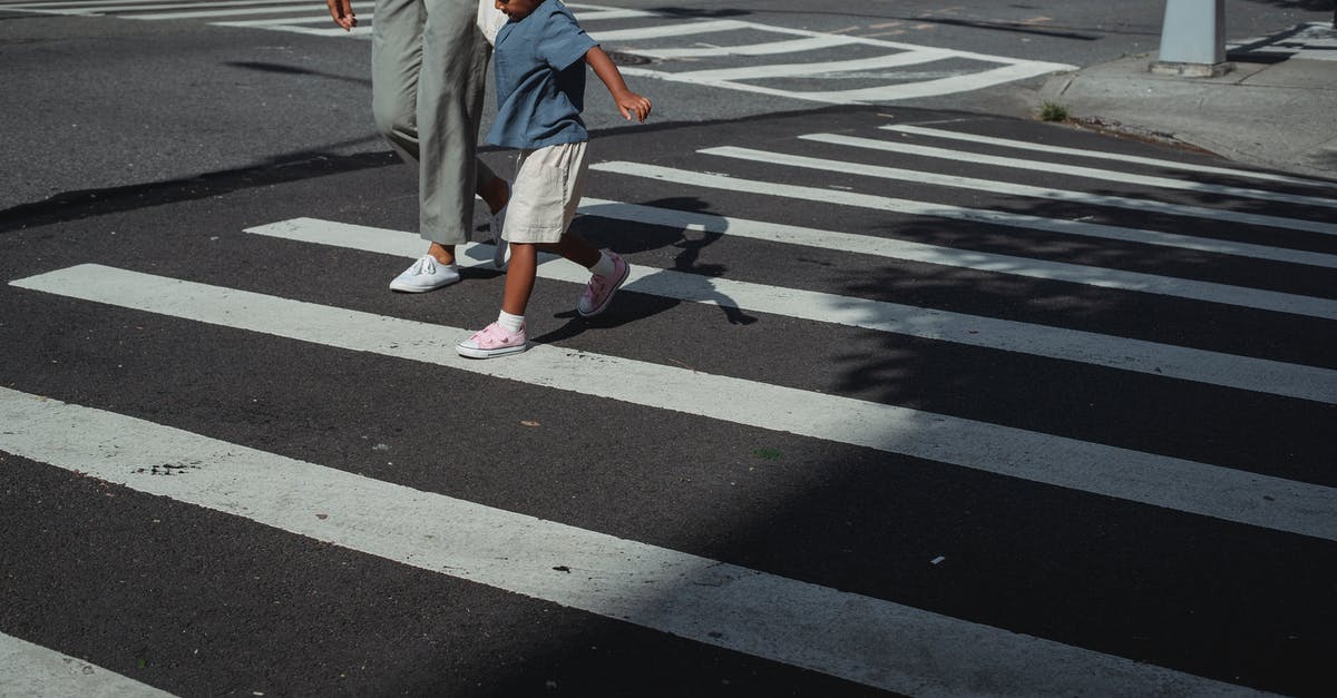 What are these little yellow boxes at German pedestrian crossings? [duplicate] - Crop mother and daughter crossing road