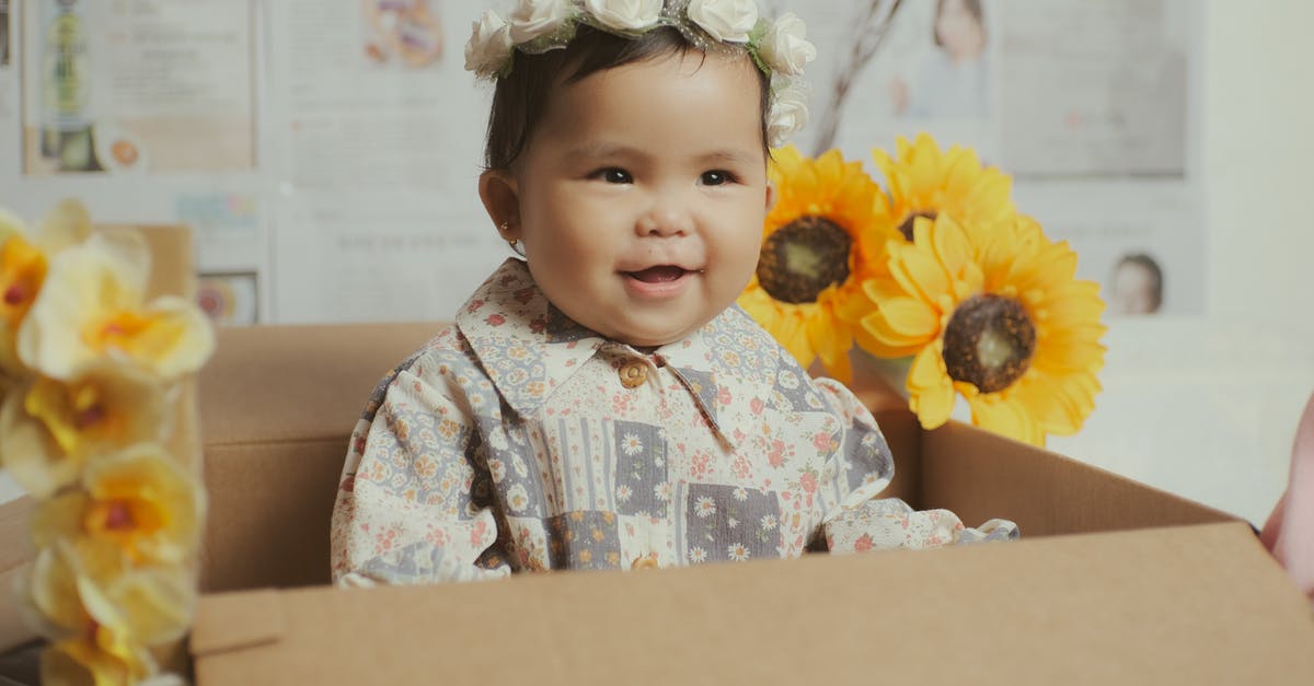 What are these little yellow boxes at German pedestrian crossings? [duplicate] - Adorable little Asian toddler in casual clothes and flower wreath on head sitting in carton box near sunflowers and narcissus near wall covered with papers and looking away happily