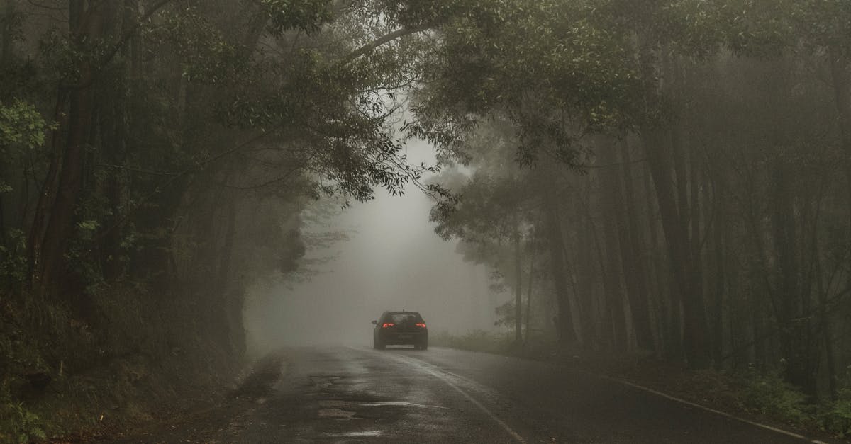 What are these mysterious craters? - Car Passing on Road Between Trees What are these mysterious craters? - Car Passing on Road Between Trees