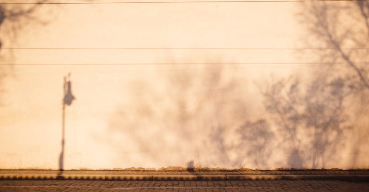 What are these parallel lines on my exit stamp? [duplicate] - Tramways on roadway against wall with tree shadows in town