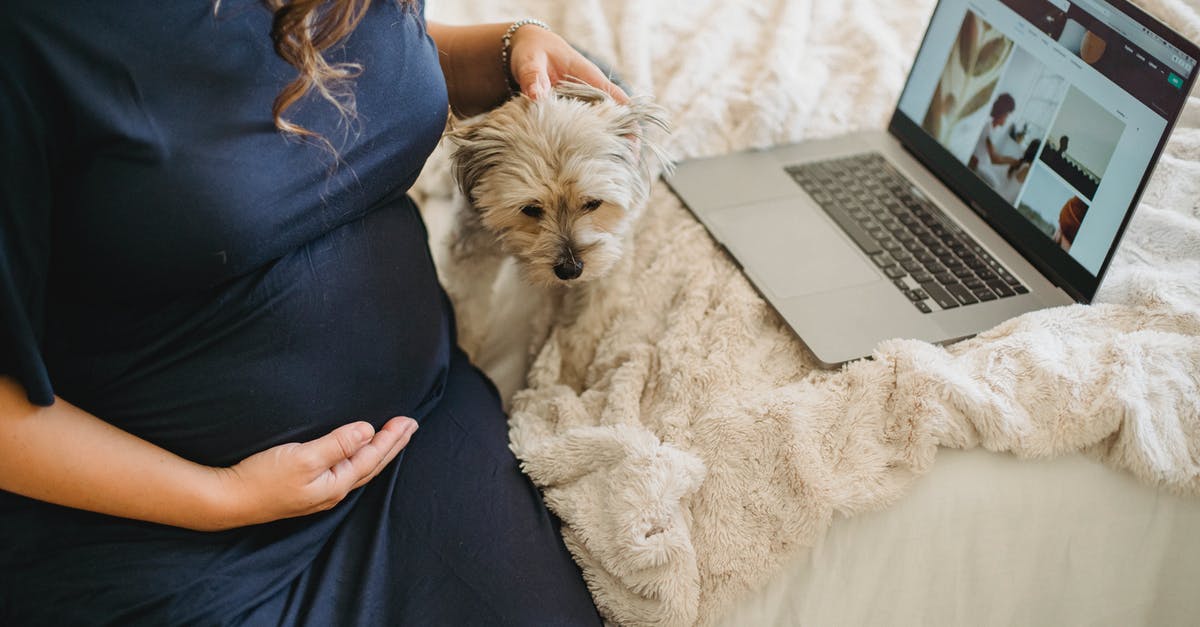 What can I expect when bringing in my netbook to China? - Crop pregnant woman stroking dog on bed with laptop What can I expect when bringing in my netbook to China? - Crop pregnant woman stroking dog on bed with laptop