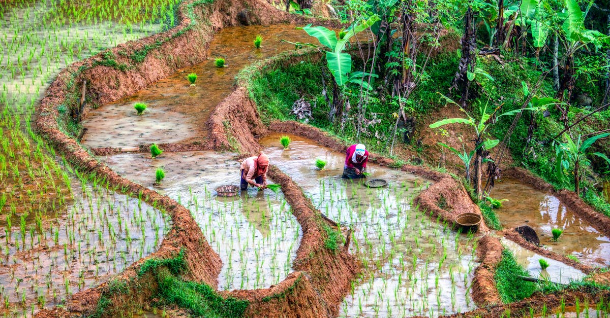 What counts as a tributary valley in Davos? - People on Green Grass Field What counts as a tributary valley in Davos? - People on Green Grass Field