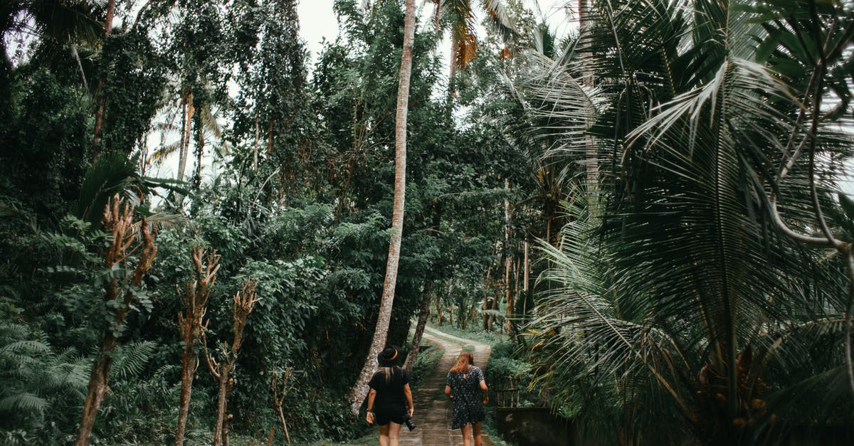 What direct scheduled flights exist between Alaska and Russia? - People Walking on Pathway Between Palm Trees What direct scheduled flights exist between Alaska and Russia? - People Walking on Pathway Between Palm Trees