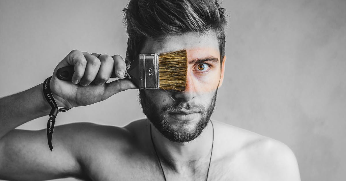 What do Northern Lights look like to the naked eye? - Gray-scale Photo of Man Holding Brush What do Northern Lights look like to the naked eye? - Gray-scale Photo of Man Holding Brush