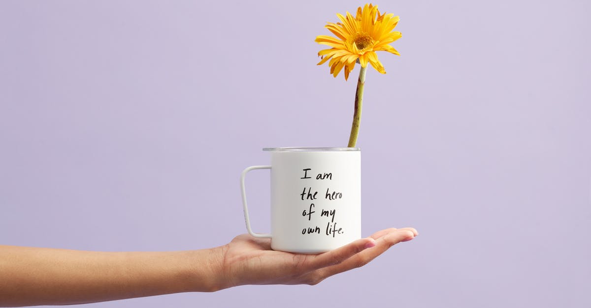 What do "visa notification letter" and "official media letter" mean regarding a Chinese visa? - Yellow Petaled Flower In White Mug