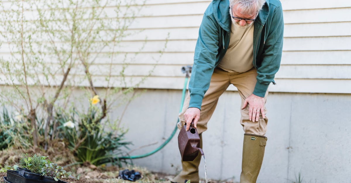What documents can prove that I am a caregiver in my country of origin? - Senior male farmer in gumboots standing with can and watering green sprouts against wall What documents can prove that I am a caregiver in my country of origin? - Senior male farmer in gumboots standing with can and watering green sprouts against wall