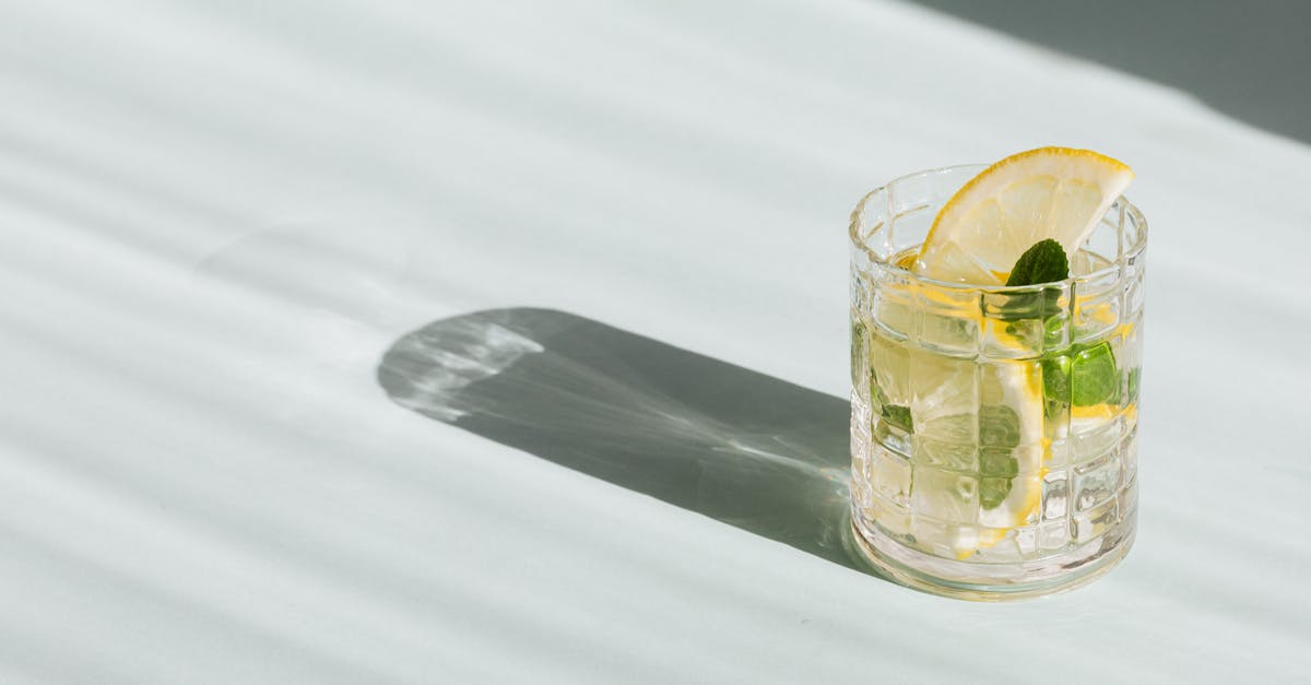 What does 1 piece baggage mean? - Flat lay of glass of fresh beverage with slices of lemon and leaves of mint placed on white background What does 1 piece baggage mean? - Flat lay of glass of fresh beverage with slices of lemon and leaves of mint placed on white background