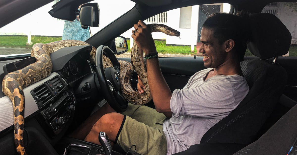 What does Russian border control use big logbooks for? - Side view of young African American man in casual clothes sitting behind wheel of car and holding huge Boa lying on dashboard of modern car on summer day What does Russian border control use big logbooks for? - Side view of young African American man in casual clothes sitting behind wheel of car and holding huge Boa lying on dashboard of modern car on summer day
