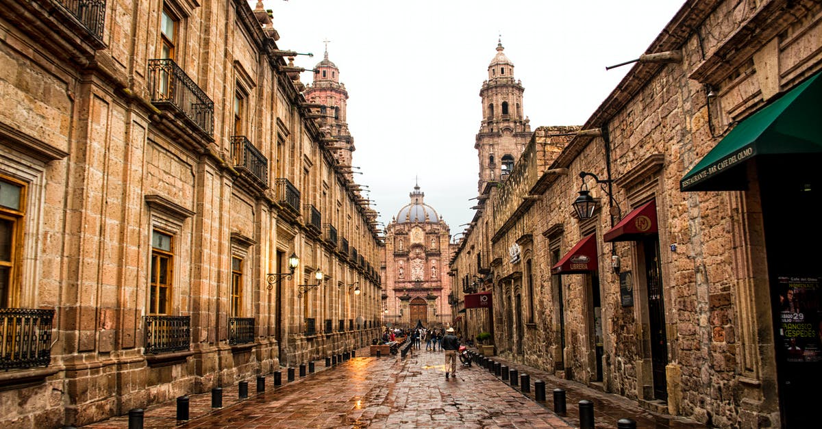 What exactly is a "FM-T", Mexico Tourist Card? - Brown Concrete Dome Building What exactly is a "FM-T", Mexico Tourist Card? - Brown Concrete Dome Building