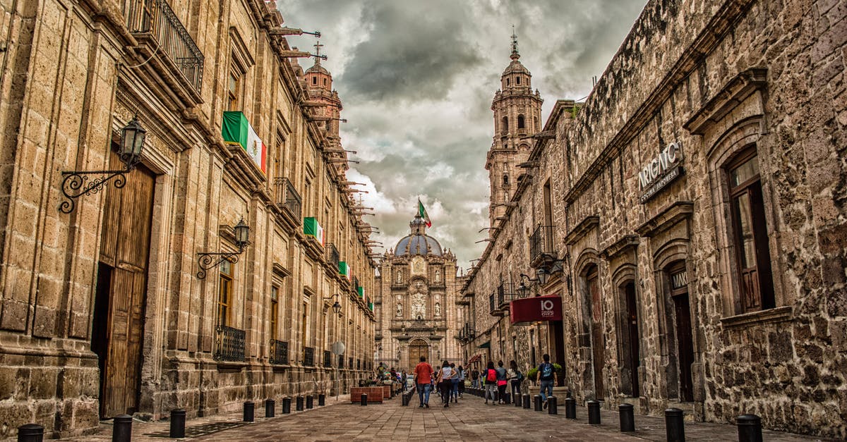 What exactly is a "FM-T", Mexico Tourist Card? - Mexico Flag on Brown 2-storey Building What exactly is a "FM-T", Mexico Tourist Card? - Mexico Flag on Brown 2-storey Building