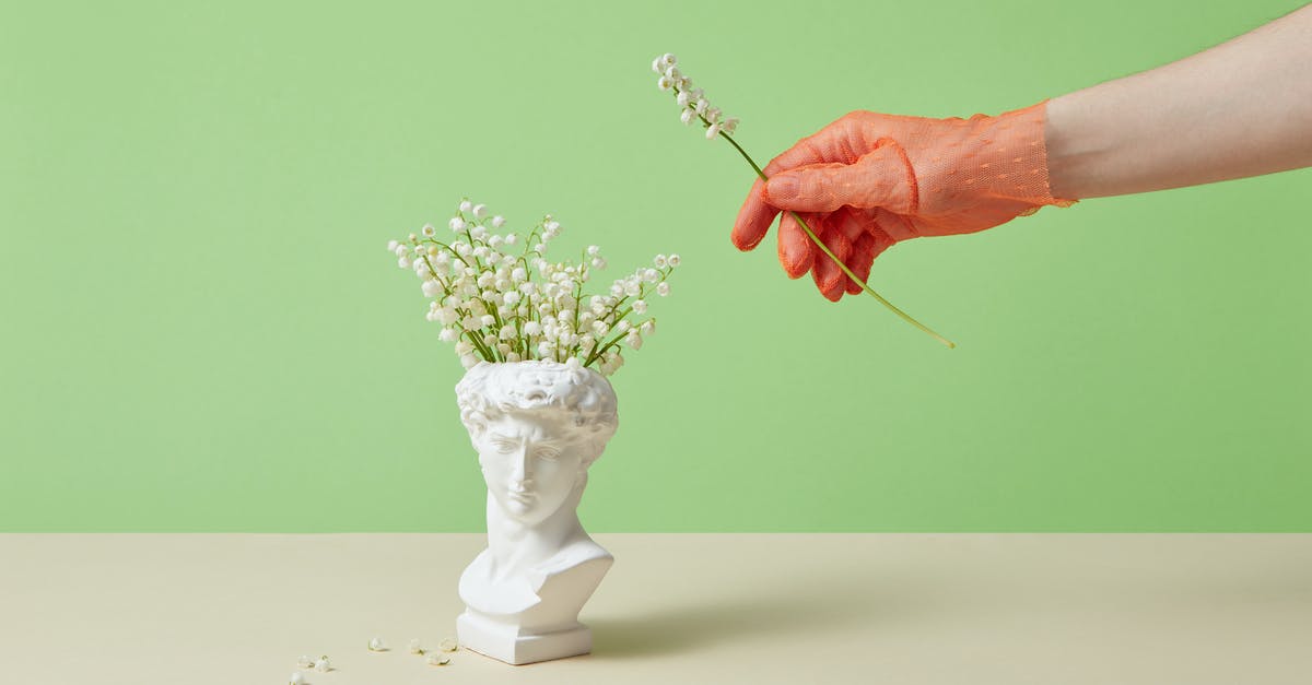 What gallery is Michelangelo's David in? - A Sculpture of a Head as a Flower Vase What gallery is Michelangelo's David in? - A Sculpture of a Head as a Flower Vase