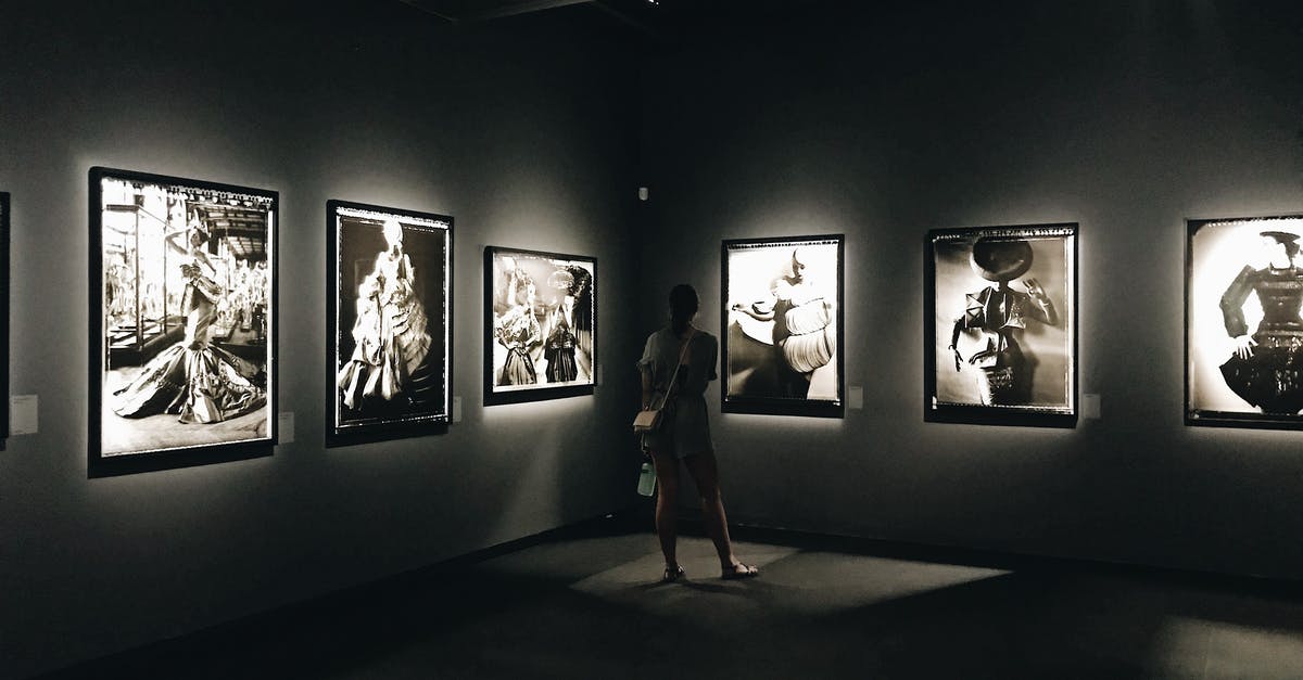 What gallery is Michelangelo's David in? - Woman in Black Dress Standing Near Wall What gallery is Michelangelo's David in? - Woman in Black Dress Standing Near Wall