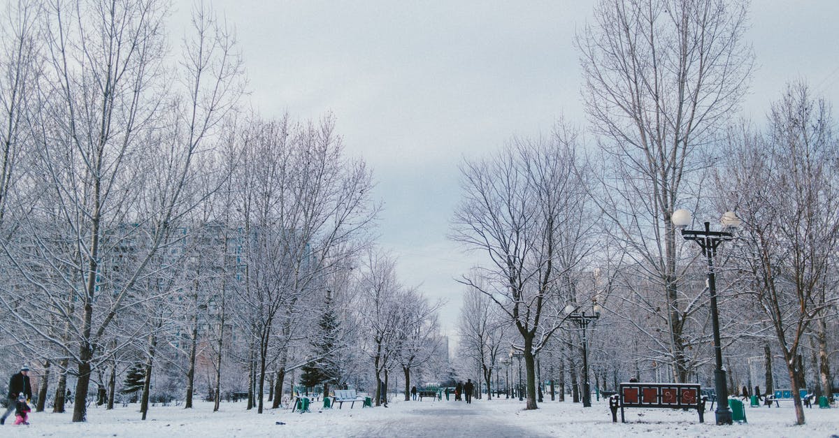 What happens to people stuck on a land border in North America? [closed] - Walkway between overgrown trees on snowy land and anonymous people under light sky in winter city