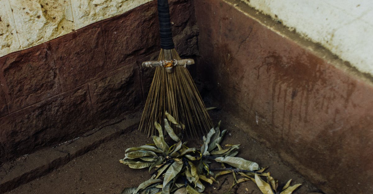 What happens when I leave Taiwan with a used visa? [closed] - From above of broom for sweeping dry leaves placed near dirty wall with spots