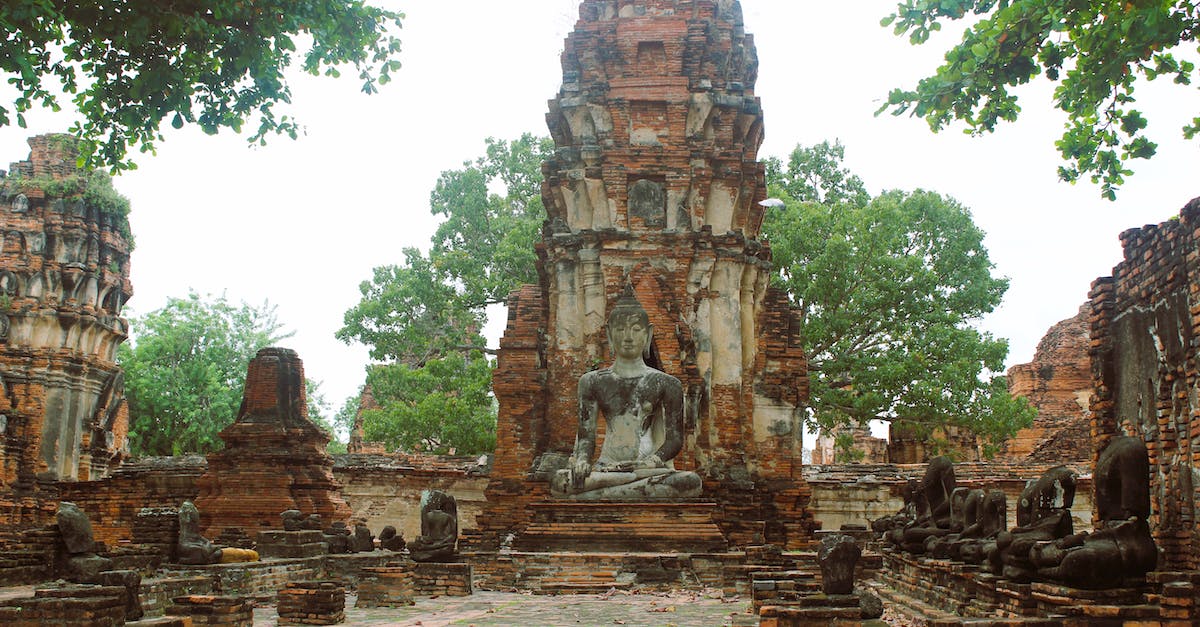 What immunisations, if any, are required / recommended for Thailand? - Gray Concrete Statue Near Green Trees