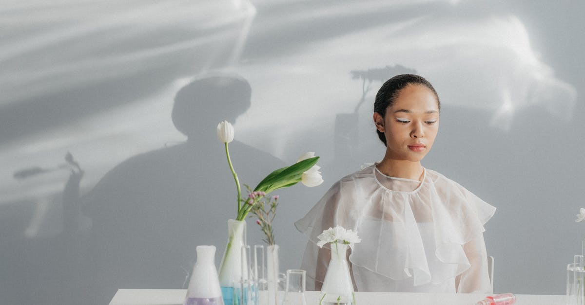 What is a shadow ticket? - A Woman in White Top Sitting at the Table with Flowers in Flasks
What is a shadow ticket? - A Woman in White Top Sitting at the Table with Flowers in Flasks